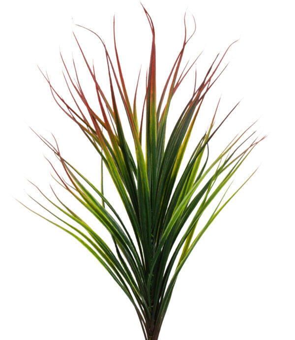 DRACENA TRAWA BUKIET PIK 58 CM - obrazek 2
