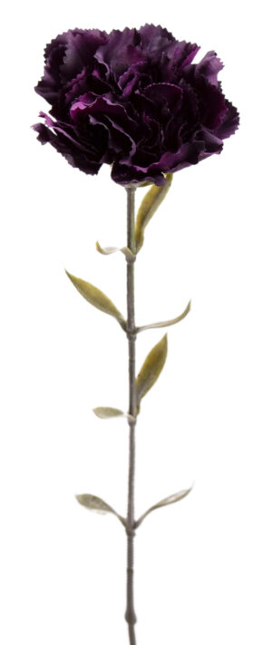 12X GOŹDZIK GAŁĄZKA C. FIOLETOWY 67 CM