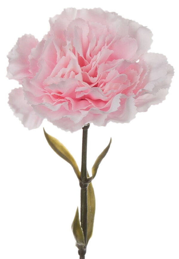 12X GOŹDZIK GAŁĄZKA POWDER PINK J. RÓŻ 67 CM - obrazek 2