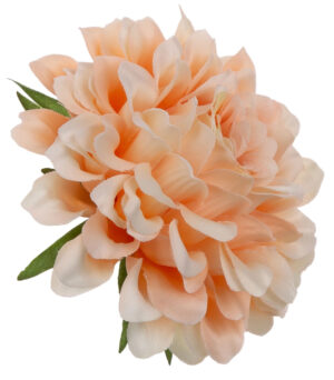 DALIA GŁÓWKA WYROBOWA PEACH 12 SZT.