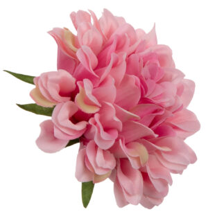 DALIA GŁÓWKA WYROBOWA DEEP PINK 12 SZT.