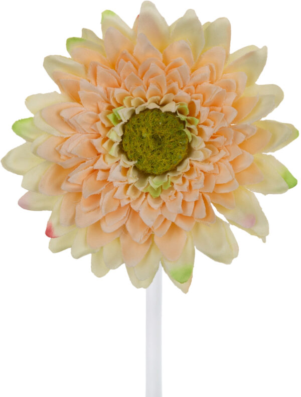 GERBERA SALMON GAŁĄZKA 37 CM ŁODYGOWA