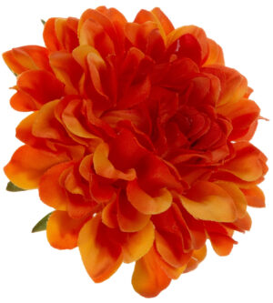 DALIA GŁÓWKA WYROBOWA POMARAŃCZOWA ORANGE 12 SZT.