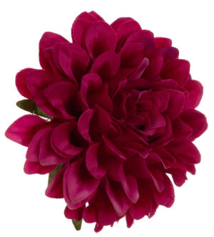 DALIA GŁÓWKA WYROBOWA BEAUTY 12 SZT.
