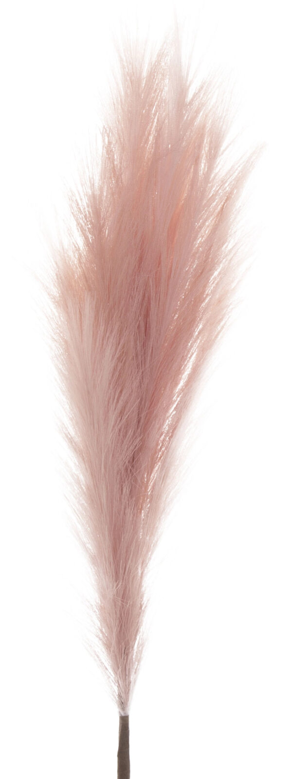 TRAWA PAMPASOWA PAMPAS RÓŻOWA 112 CM PREMIUM