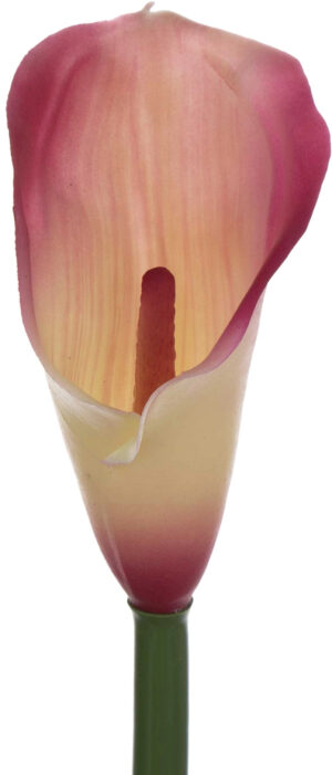 KALIA GUMOWA RÓŻ KREM 71 CM ROSE PINK