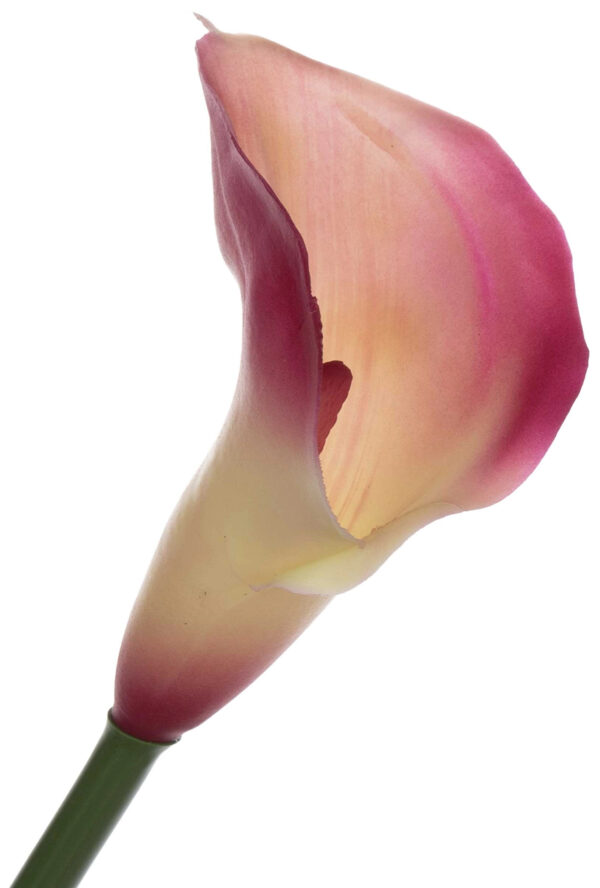 KALIA GUMOWA RÓŻ KREM 71 CM ROSE PINK - obrazek 2