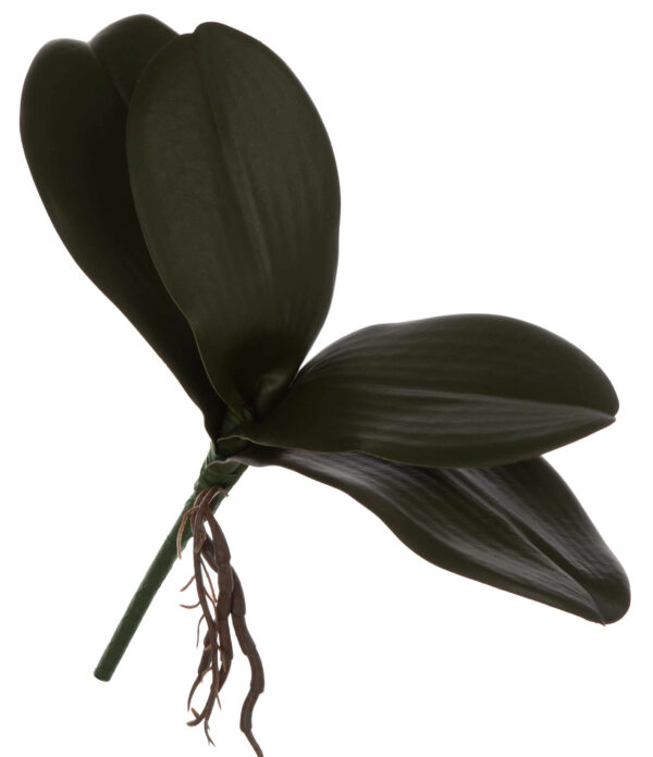 LIŚĆ GUMOWY STORCZYK ORCHIDEA 26 CM LIŚCIE SZTUCZNE