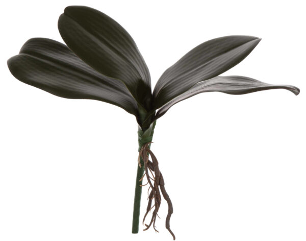 LIŚĆ GUMOWY STORCZYK ORCHIDEA 26 CM LIŚCIE SZTUCZNE - obrazek 2