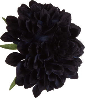 DALIA GŁÓWKA WYROBOWA BLUE BLACK 12 SZT. GRANATOWA CZARNA