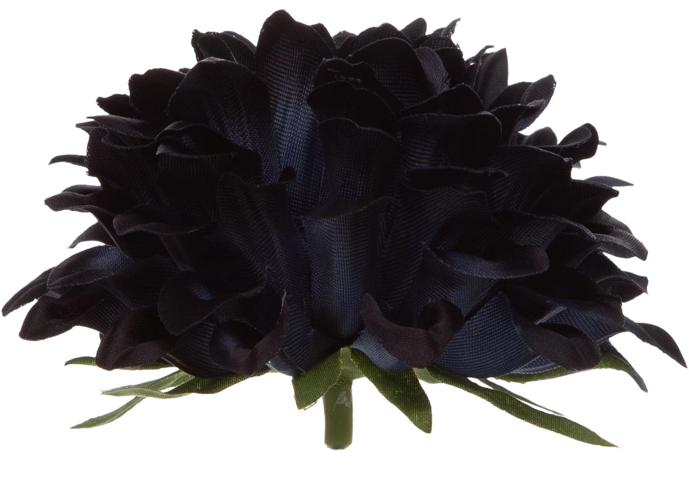 DALIA GŁÓWKA WYROBOWA BLUE BLACK 12 SZT. GRANATOWA CZARNA - obrazek 2