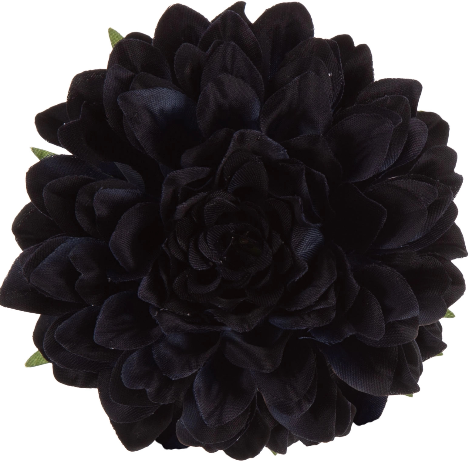 DALIA GŁÓWKA WYROBOWA BLUE BLACK 12 SZT. GRANATOWA CZARNA - obrazek 3