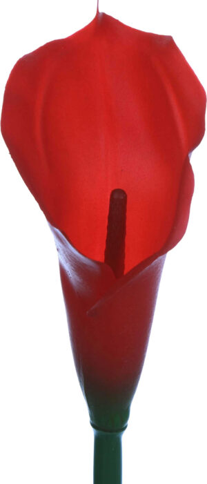 KALIA GUMOWA RUBIN CZERWONA GAŁĄZKA 71 CM