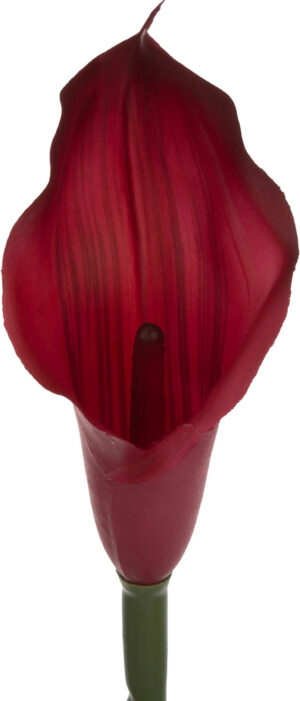 KALIA GUMOWA BETT CIEMNO CZERWONA 71 CM