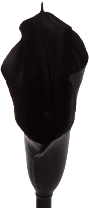 KALIA GUMOWA BLACK CZARNA GAŁĄZKA 71 CM