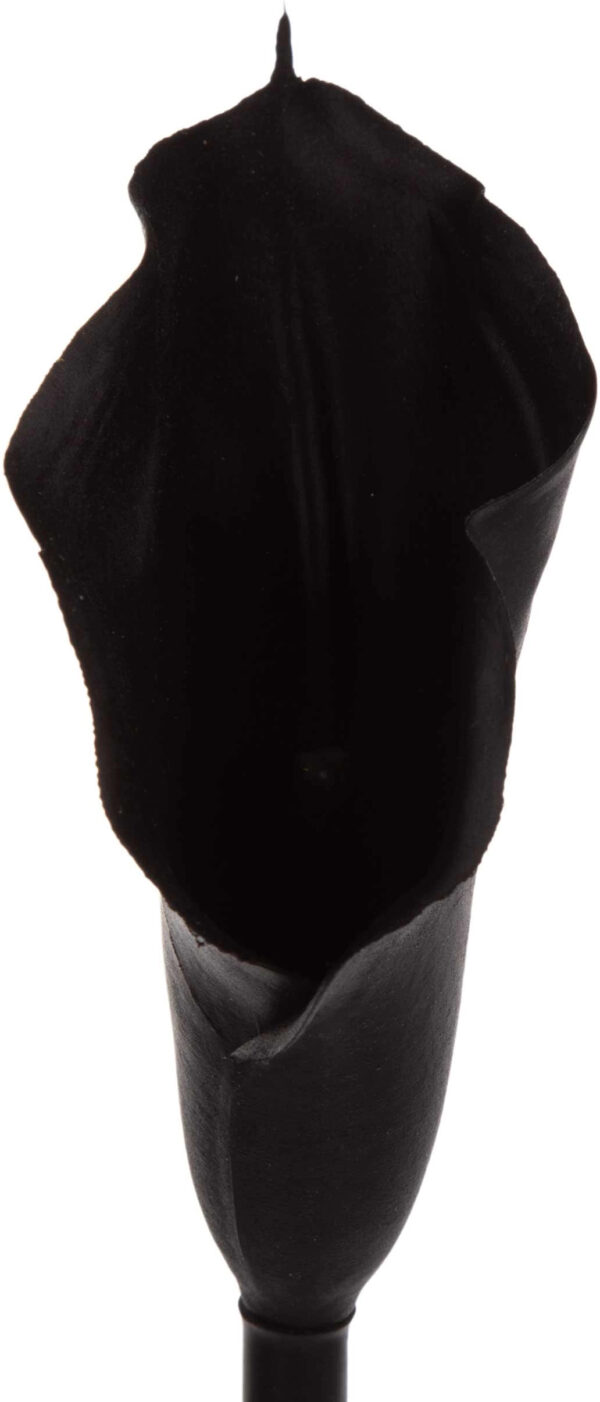 KALIA GUMOWA BLACK CZARNA GAŁĄZKA 71 CM