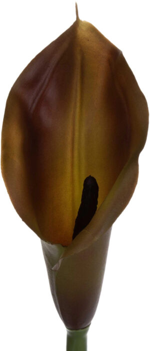 KALIA GUMOWA OLIWKOWA OLIVE GAŁĄZKA 71 CM