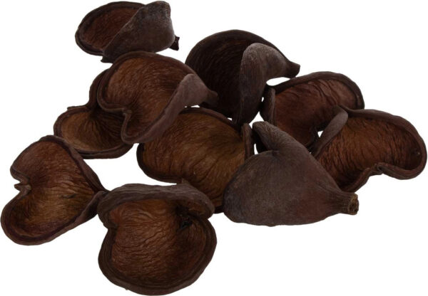 10X BADAM SUSZ NATURALNY EGZOTYCZNY