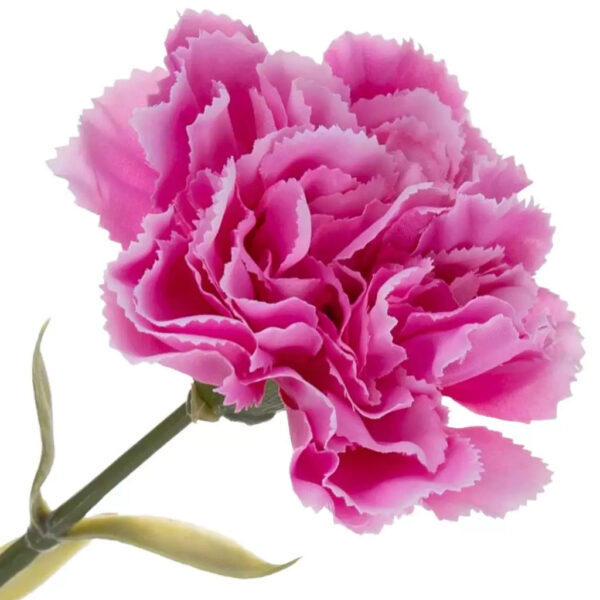 12X GOŹDZIK GAŁĄZKA PINK EDGE PINK RÓŻ 67 CM - obrazek 2
