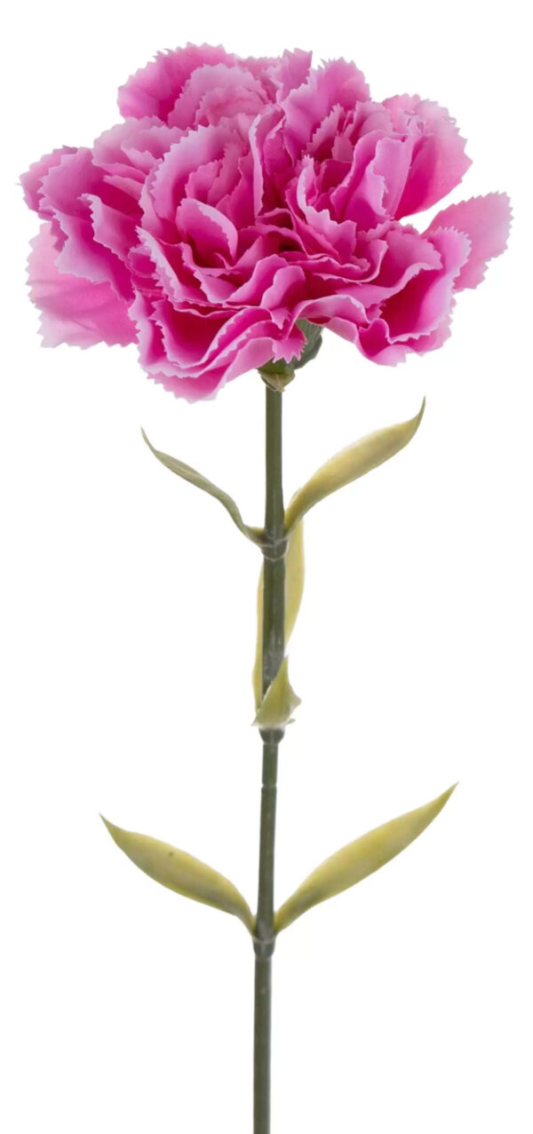 12X GOŹDZIK GAŁĄZKA PINK EDGE PINK RÓŻ 67 CM - obrazek 3