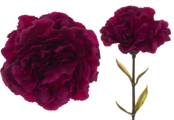 GOŹDZIK GAŁĄZKA BURGUNDY BURGUND 67 CM