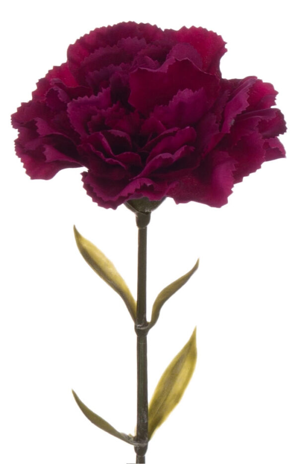 GOŹDZIK GAŁĄZKA BURGUNDY BURGUND 67 CM - obrazek 2