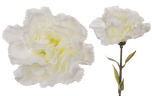12X GOŹDZIK GAŁĄZKA DEEP CREAM KREM 67 CM