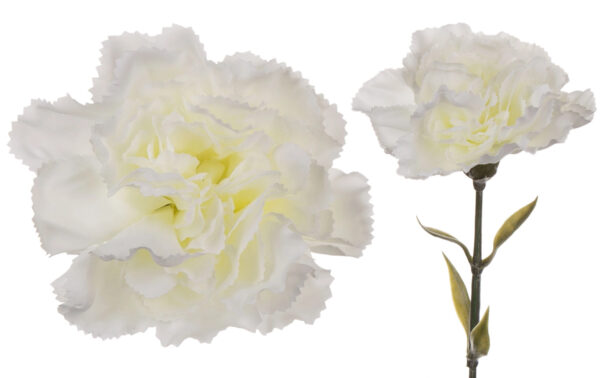 12X GOŹDZIK GAŁĄZKA DEEP CREAM KREM 67 CM