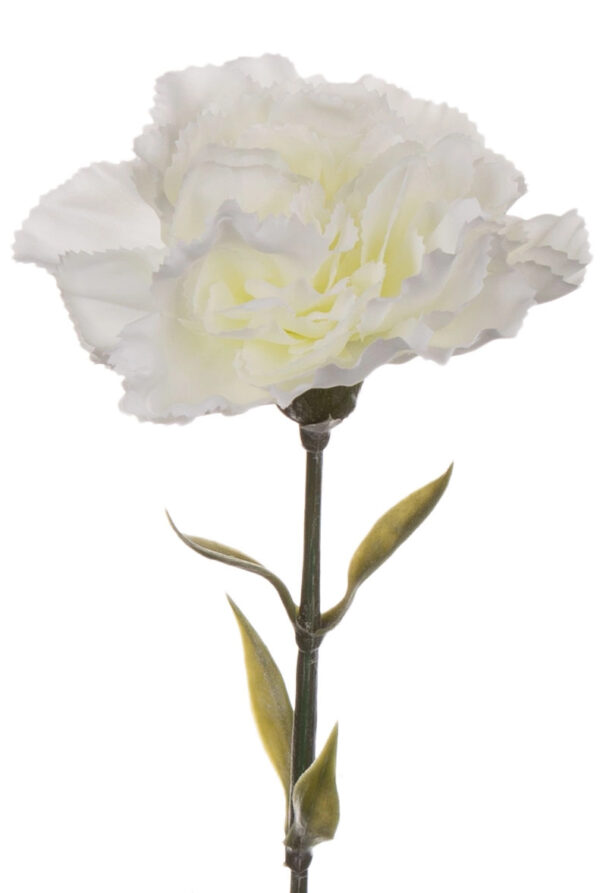 12X GOŹDZIK GAŁĄZKA DEEP CREAM KREM 67 CM - obrazek 2