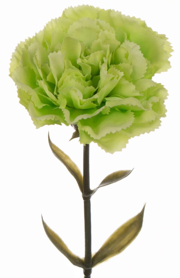 12X GOŹDZIK GAŁĄZKA POWDER GREEN J. ZIELONY 67 CM - obrazek 2