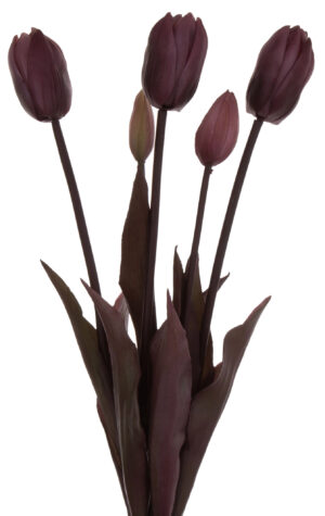 TULIPAN FIOLET BORDO GUMOWY BUKIET TULIPANÓW 5 KWIATÓW JESIEŃ