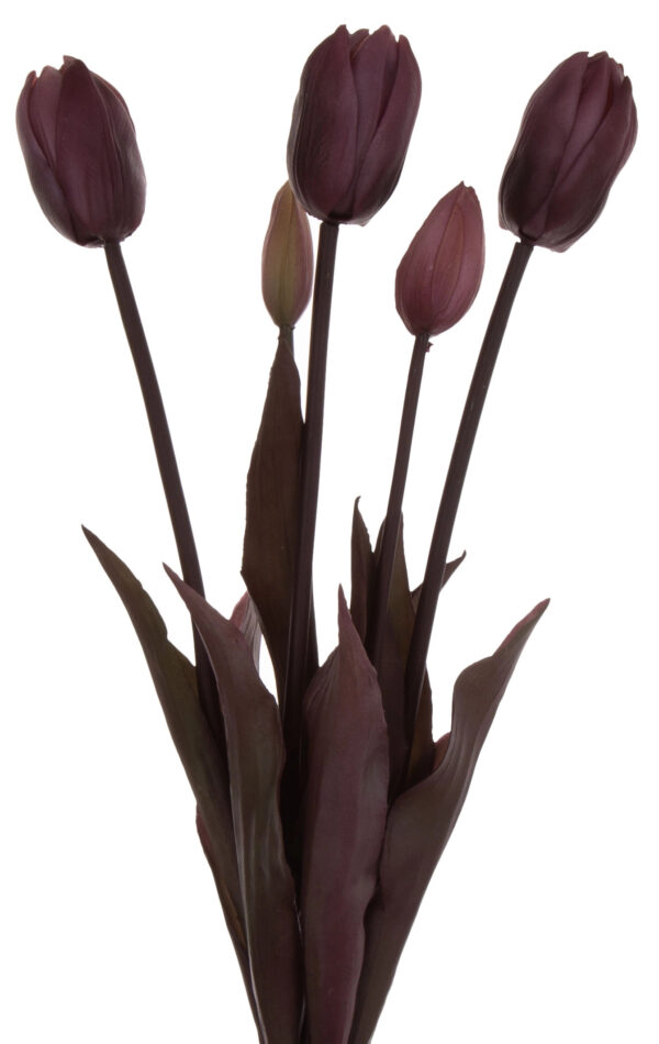 TULIPAN FIOLET BORDO GUMOWY BUKIET TULIPANÓW 5 KWIATÓW JESIEŃ