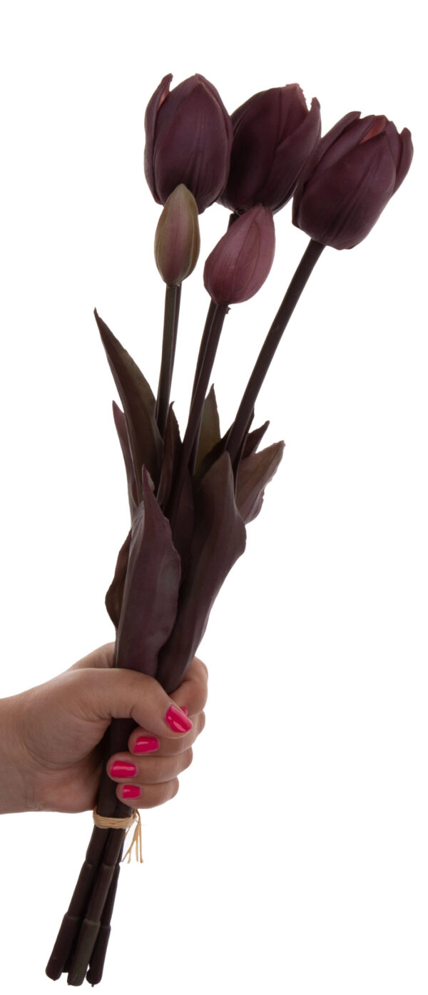 TULIPAN FIOLET BORDO GUMOWY BUKIET TULIPANÓW 5 KWIATÓW JESIEŃ - obrazek 2