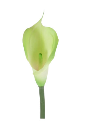 KALIA GUMOWA JASNA ZIELEŃ LT GREEN 71 CM