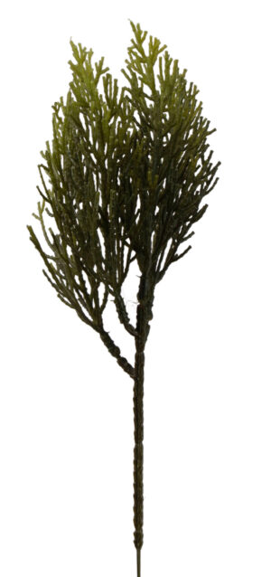CYPRYSIK IGLAK GAŁĄZKA DO STROIKÓW 25 CM