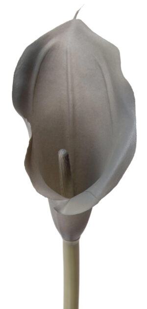 KALIA GUMOWA JASNA SZARA LT GREY 71 CM