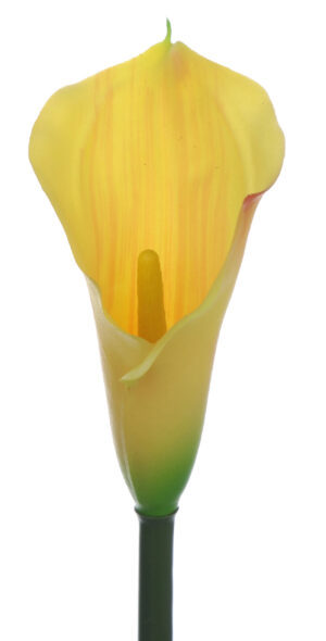 KALIA GUMOWA ŻÓŁTA LEMON 71 CM