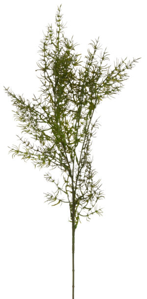 ASPARAGUS GAŁĄZKA 80 CM DODATEK KWIATY SZTUCZNE