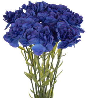 12X GOŹDZIK GAŁĄZKA BLUE VIOLET NIEBIESKI FIOLETOWY 67 CM