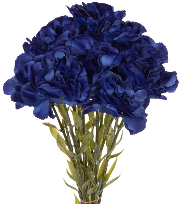12X GOŹDZIK GAŁĄZKA DR BLUE CIEMNY NIEBIESKI 67 CM
