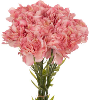 12X GOŹDZIK GAŁĄZKA ROSE RÓŻOWY 67 CM