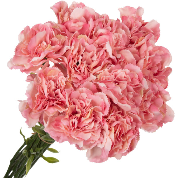 12X GOŹDZIK GAŁĄZKA ROSE RÓŻOWY 67 CM - obrazek 2