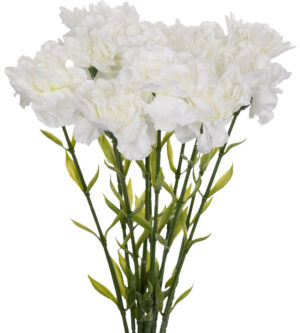12X GOŹDZIK GAŁĄZKA BIAŁY DEEP WHITE 67 CM