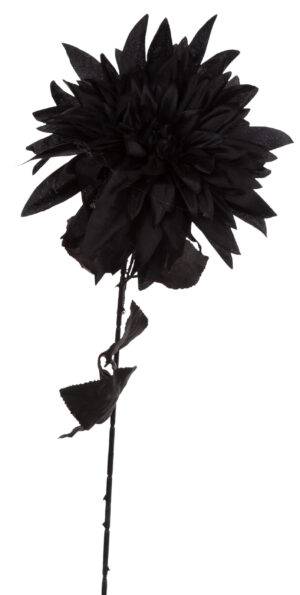 DALIA CZARNA GAŁĄZKA 64 CM