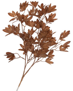 AZALIA BRĄZOWA GAŁĄZKA LIŚCIASTA 85 CM
