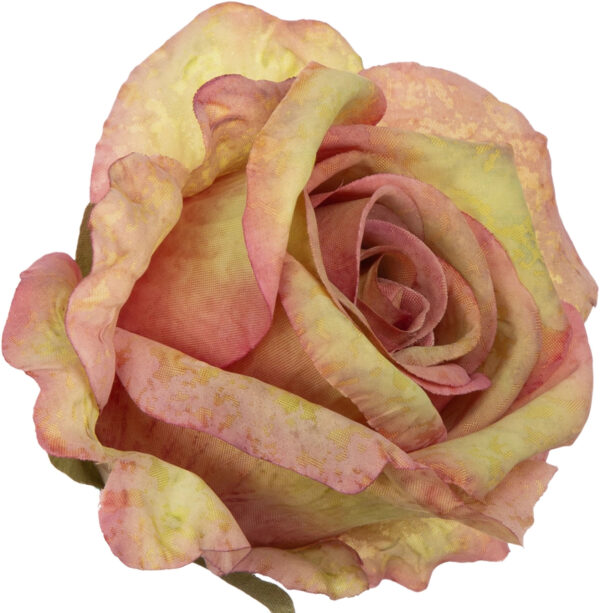 12X RÓŻA GŁÓWKA WYROBOWA GREEN EDGE PINK
