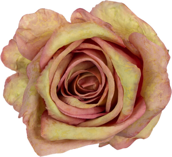 12X RÓŻA GŁÓWKA WYROBOWA GREEN EDGE PINK - obrazek 3