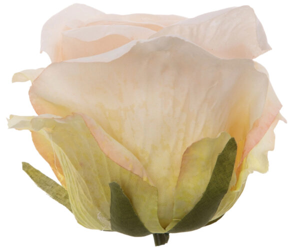 12X RÓŻA GŁÓWKA WYROBOWA POWDER PEACH - obrazek 2