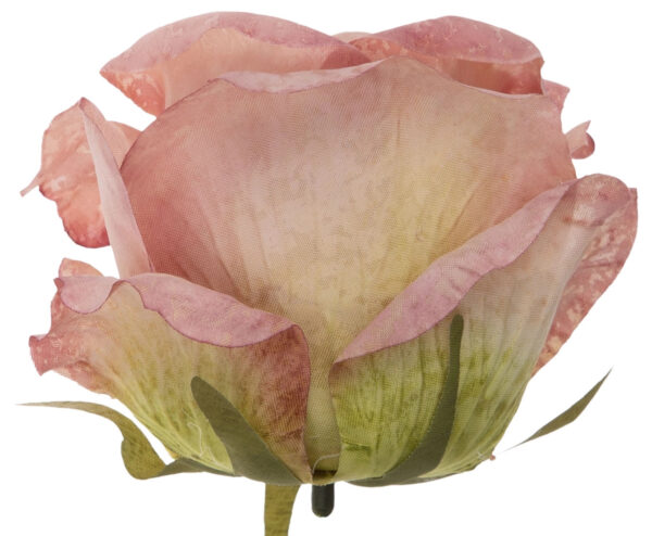 12X RÓŻA GŁÓWKA WYROBOWA POWDER PINK - obrazek 2