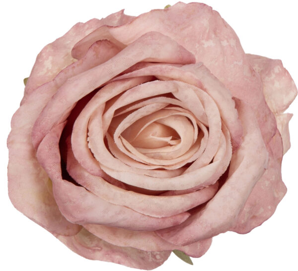 12X RÓŻA GŁÓWKA WYROBOWA POWDER PINK - obrazek 3